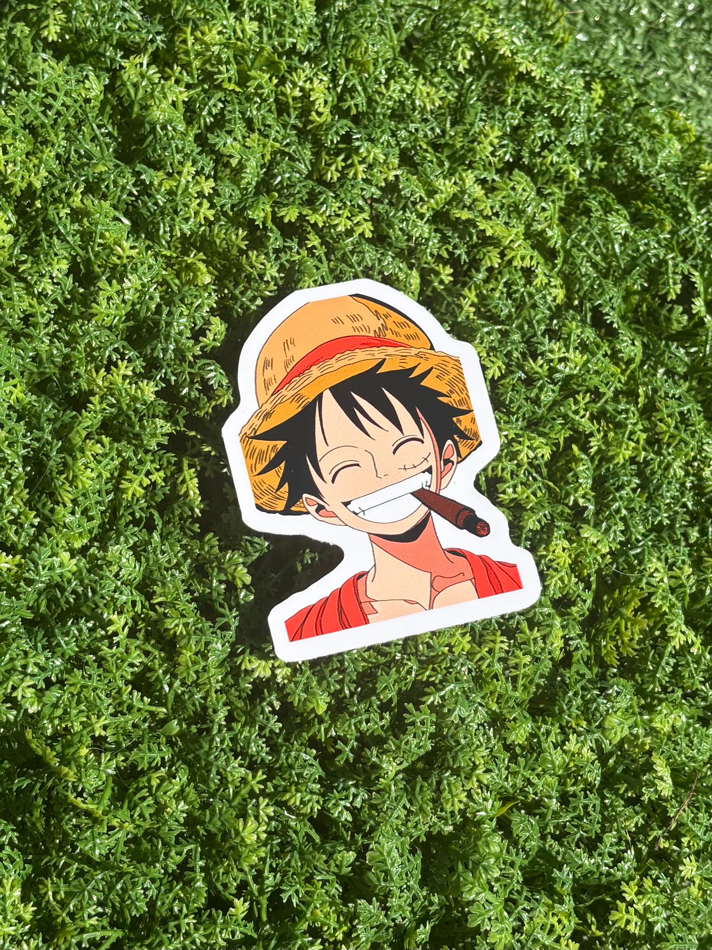 luffy actin loosey